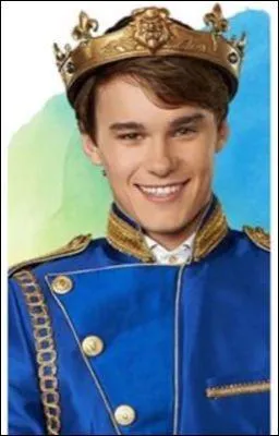 Comment s'appelle le fils du roi (le prince) ?