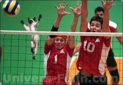 Au filet tu viendras, et un smash tu passeras !