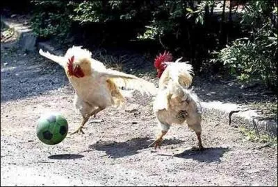 C'est après le passement de jambes que tu planteras un missile dans la lucarne !