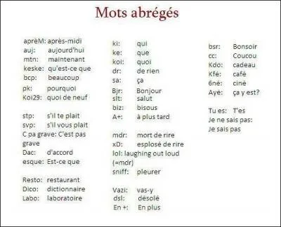 "Nous avons souvent fait face à des critiques lapidaires". Que représente le mot "lapidaire" ?