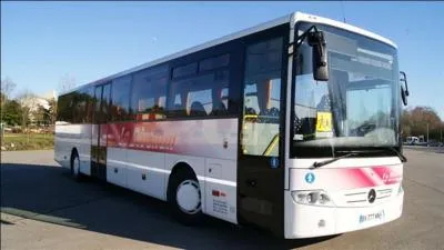 "Il était vraiment possédé par la passion didactique". Quelle est la signification de "didactique" ?