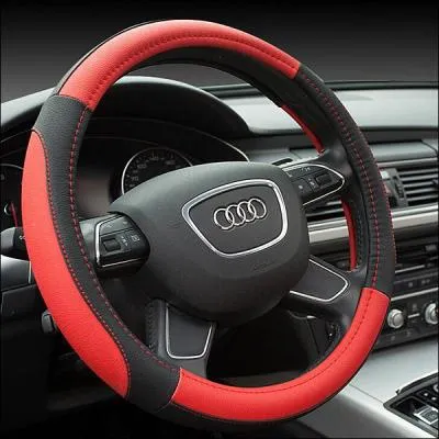 "Peut-on chamarrer de la sorte ses vêtements ?". Quel est le sens de "chamarrer" ?