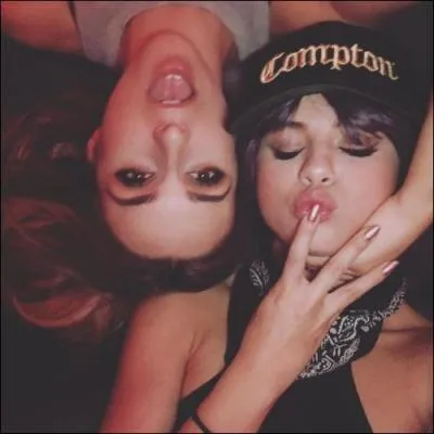 Quelle personne a deux chats nommés Olivia et Meredith ?