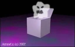 How do you say "In the dark dark box there is a ghost ! " in French ?