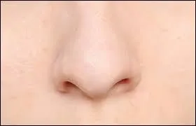 Comment dit-on "le nez" en espagnol ?