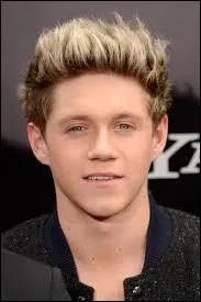 Qui est ce membre des One Direction ?