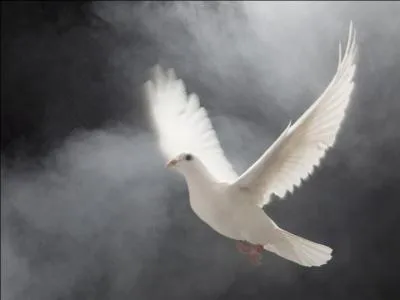 Complétez ces magnifiques paroles "Je m'en irai dormir dans le Paradis blanc, où les nuits sont si longues...."