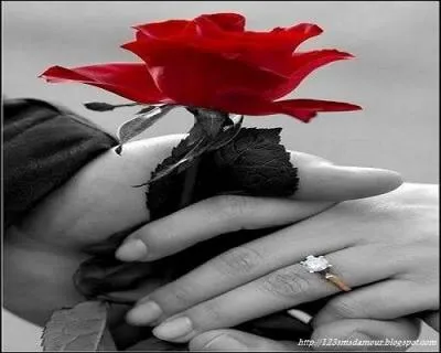 Dans quelle chanson de Daniel Guichard entend-on "C'est un geste, un mot, un sourire, quand on oublie que tous les deux on a grandi" ?