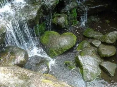 Dans quelle comptine entend-on " Jamais je ne t'oublierai" ?