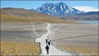 Qui chante "Causes perdues" ?