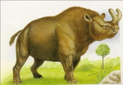 Quel est cet animal aux deux grandes cornes effrayantes ?