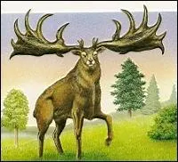 Quel est cet animal aux immenses bois majestueux ?