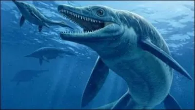 Quel est cet animal terrifiant qui vivait dans les océans ?