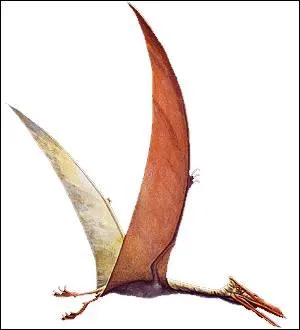 Quel est cet animal capable de voler ?