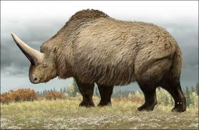 Quel est cet animal avec son énorme corne mesurant plus de deux mètres ?