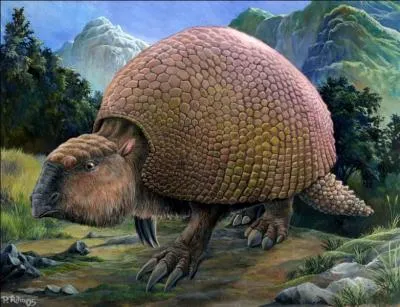 Quel est cet animal avec une énorme carapace sur le dos ?