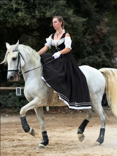 Quelle est l'allure de ce cheval ?