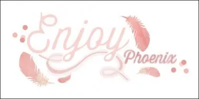 Pourquoi a-t-elle nommé sa chaîne "EnjoyPhoenix" ?