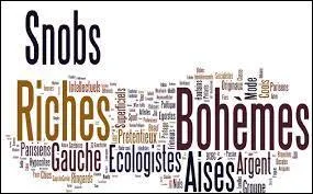 Quel chanteur évoque de façon péjorative les bourgeois-bohèmes dans sa chanson "Les Bobos" en 2006 ?