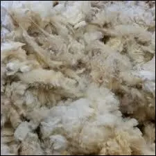 Comment s'appelle la matière grasse sécrétée par la peau du mouton, et qui sert à fabriquer la lanoline ?