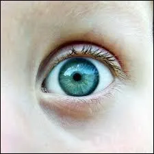 Que fait la pupille d'un être humain dans l'obscurité ?