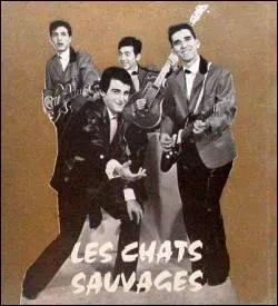 Quel rocker français chante "Twist à Saint-Tropez" avec les Chats Sauvages en 1961 ?