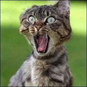 Quelle est la peur d'avoir peur ?