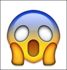 Quelle est la peur d'être constipé ?