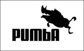 Quel animal a donné son nom et est également représenté sur le logo de "la marque au félin bondissant" ?