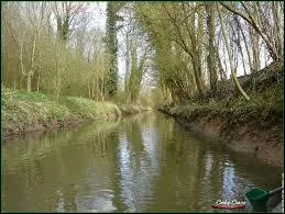 De quelle rivière du nord de la France la Marque est-elle l'affluent ?