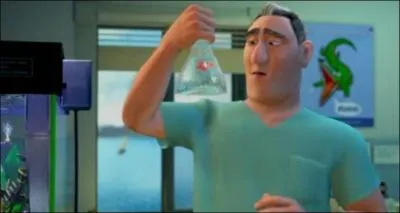 Quel est le nom de famille du dentiste dans Némo ?