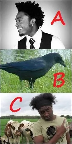 Lequel de ces chanteurs a un point commun évident avec l'animal de la proposition B ?