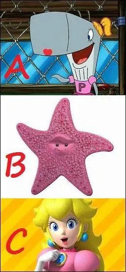 Quel personnage a un point commun indiscutable avec l'étoile de mer de la proposition B ?