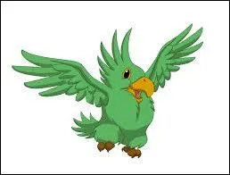 Comment s'appelle le perroquet ?