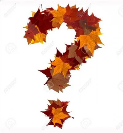 Né un 2 novembre à Tunis, il se demande ce qu'il a fait au bon dieu pour avoir une femme qui boit le café avec les hommes ?