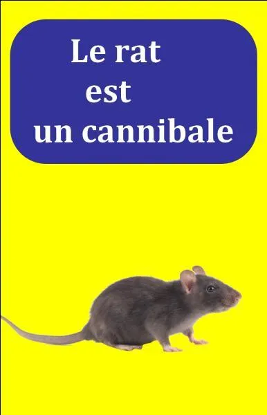 Quelle est la bonne réponse ?