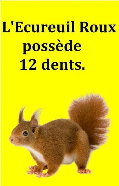 Quelle est la bonne réponse ?