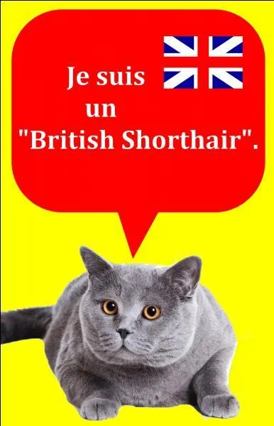 Quelle est la bonne réponse ?