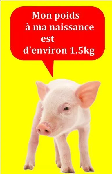 Quelle est la bonne réponse ?