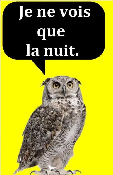 Quelle est la bonne réponse ?