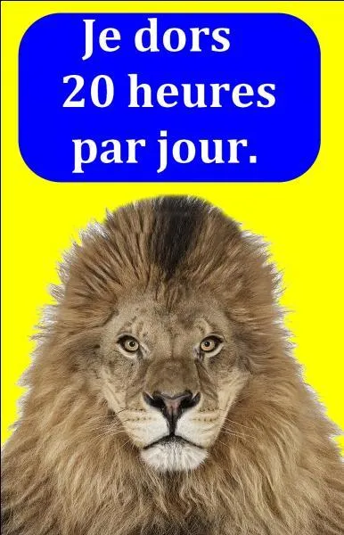 Quelle est la bonne réponse ?