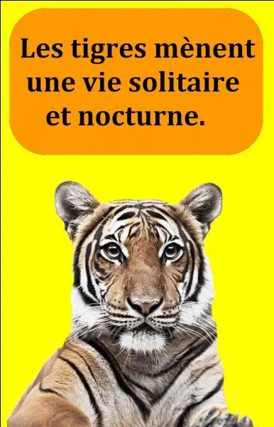 Quelle est la bonne réponse ?