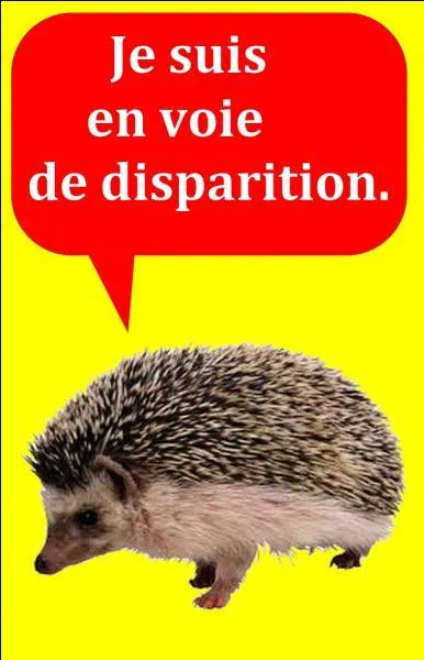 Quelle est la bonne réponse ?