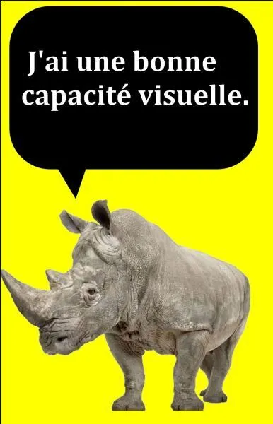 Quelle est la bonne réponse ?