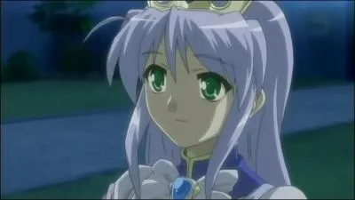 Quelle est la fonction de Feena ?