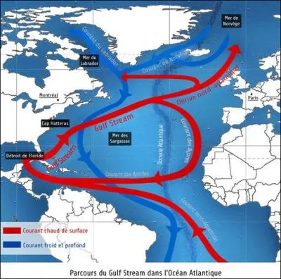 Quel courant passe le long du golfe du Mexique et de la Floride ?