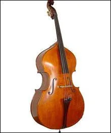 Cet instrument fait partie des instruments à corde. Quel est son nom ?