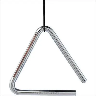 Ceci est un instrument de percussion. Quel est son nom ?