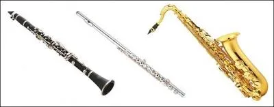 Lequel de ces instruments à vent est un bois ?