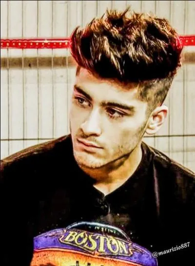 Quel membre des One direction est parti du groupe en mars 2015 ?